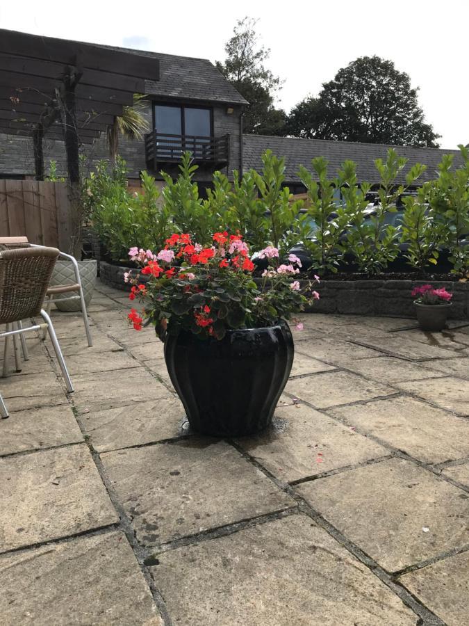 Smithaleigh Farm Rooms And Apartments Sparkwell Luaran gambar